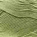 Light Olive
