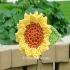 Sunflower-Clip_299.jpg